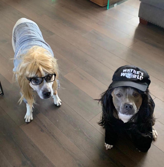 RT @RayAgua1031: Halloween Eve, time to party on all. Excellent! https://t.co/bbApdVrLEB
