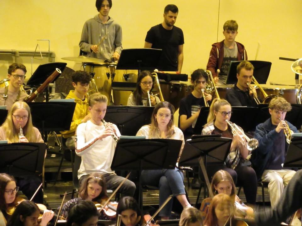 peterromhany tweet media