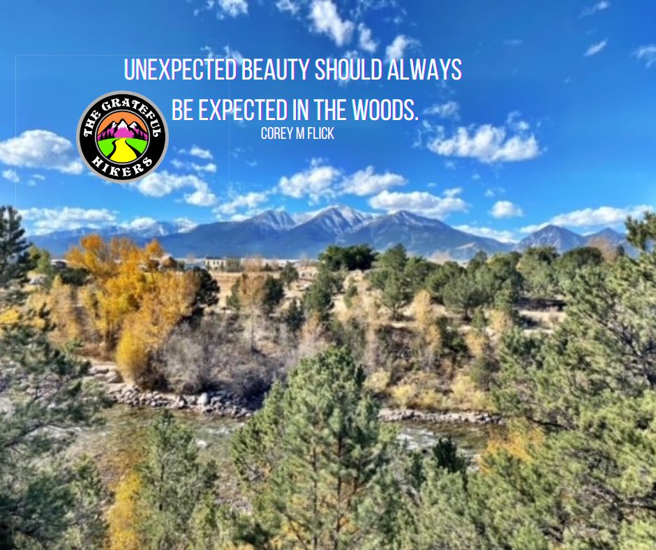 The Grateful Hikers (@gratefulhikers) on Twitter photo 