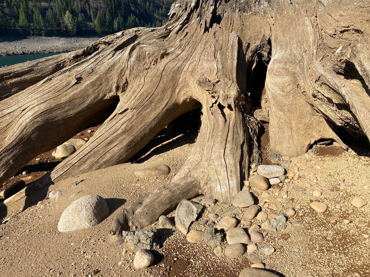 DetroitLake_OR's tweet photo. More rocks are hiding!  Go Seek!

#detroitorrocks #detroitoregon #exploregon #travelsalem #traveloregon https://t.co/Wcsz8A1Ert