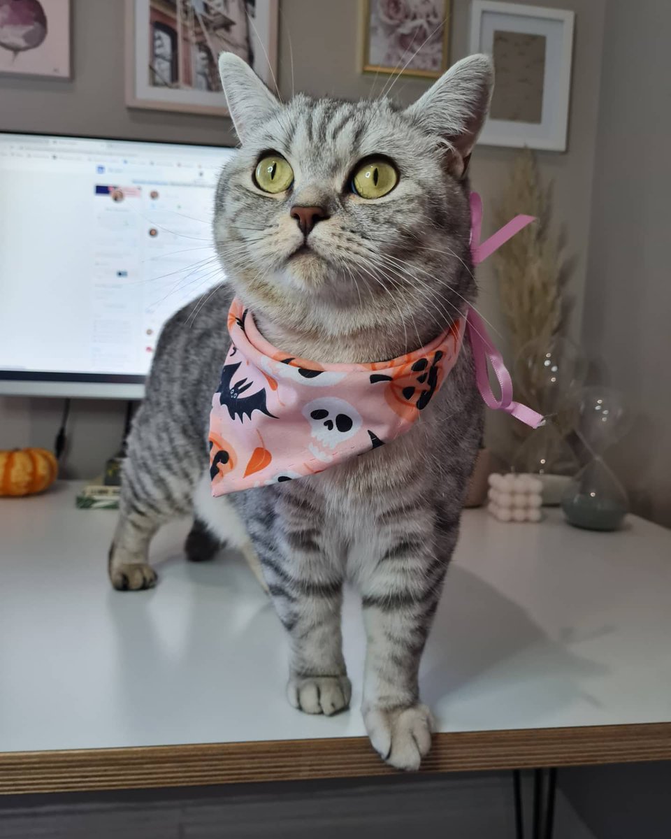 Happy Halloween weekend 🧡🎃