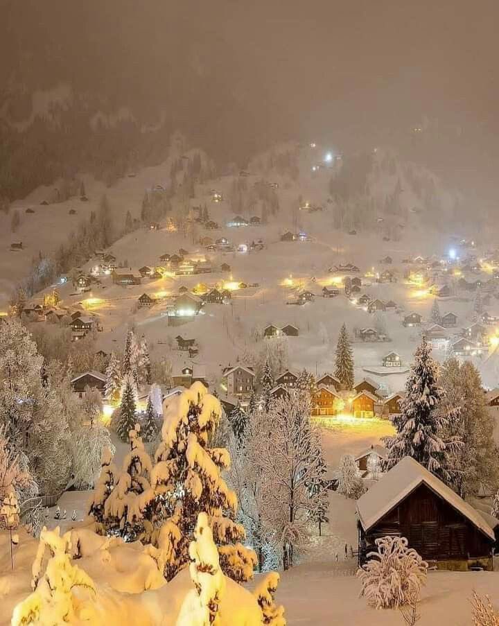 tmbIrpics's tweet photo. Winter in 🇨🇭 ❄️ https://t.co/qiwcjsMus6