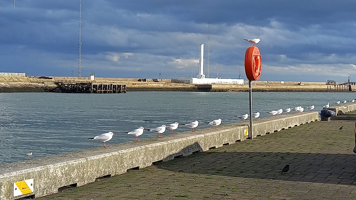 Shithouse_Poet's tweet photo. I guess the next bus must be due soon. #Blyth #FormAQueue #SocialDistancing https://t.co/PQQFWTvX4y