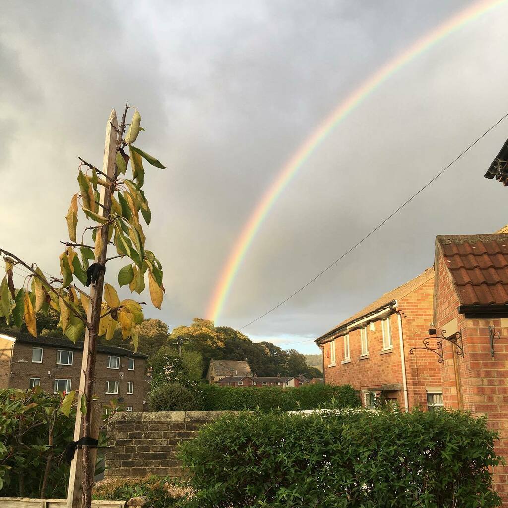 skyesfootprints's tweet photo. When there is rain look for rainbows. 🌈🌦💖

#rainbow #throughthestorm #babylossawareness #babyloss #skyesfootprints #footprintsonourhearts #babylosspodcasf https://t.co/z4mbWEb9Lf https://t.co/Gh1MLlr1yP