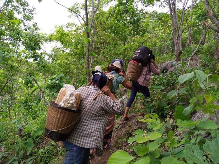 MoeTDar1's tweet photo. At least 30 refugees from Kayah( Karenni ) state reportedly died due to malnutrition and other illness during 4 months. In IDP camps, shelters, foodstuffs and medical care are now being required. #WhatsHappeningInMyanmar #Oct30Coup #WarCrimesOfJunta https://t.co/TaKeFmfbXi