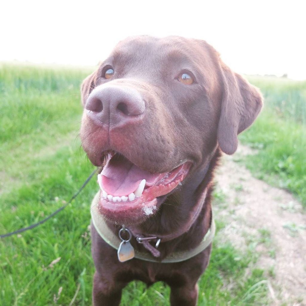 Berti_and_Ernie's tweet photo. Hi, here is Ernie! Let me gift you this little smile to cheer you up! https://t.co/o83dHhHdHc