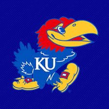 chico holt tweet media