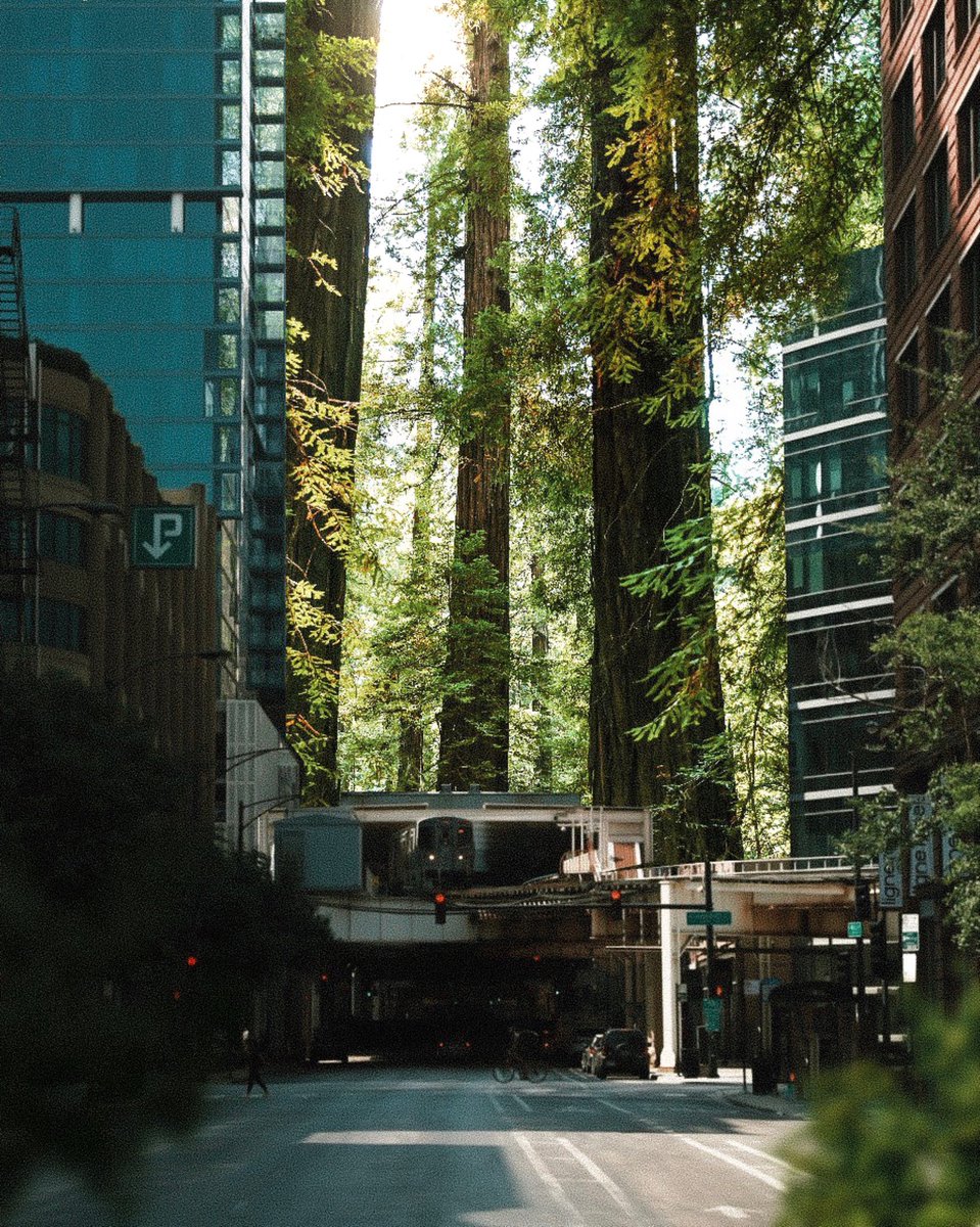 Elise ✨ tweet media