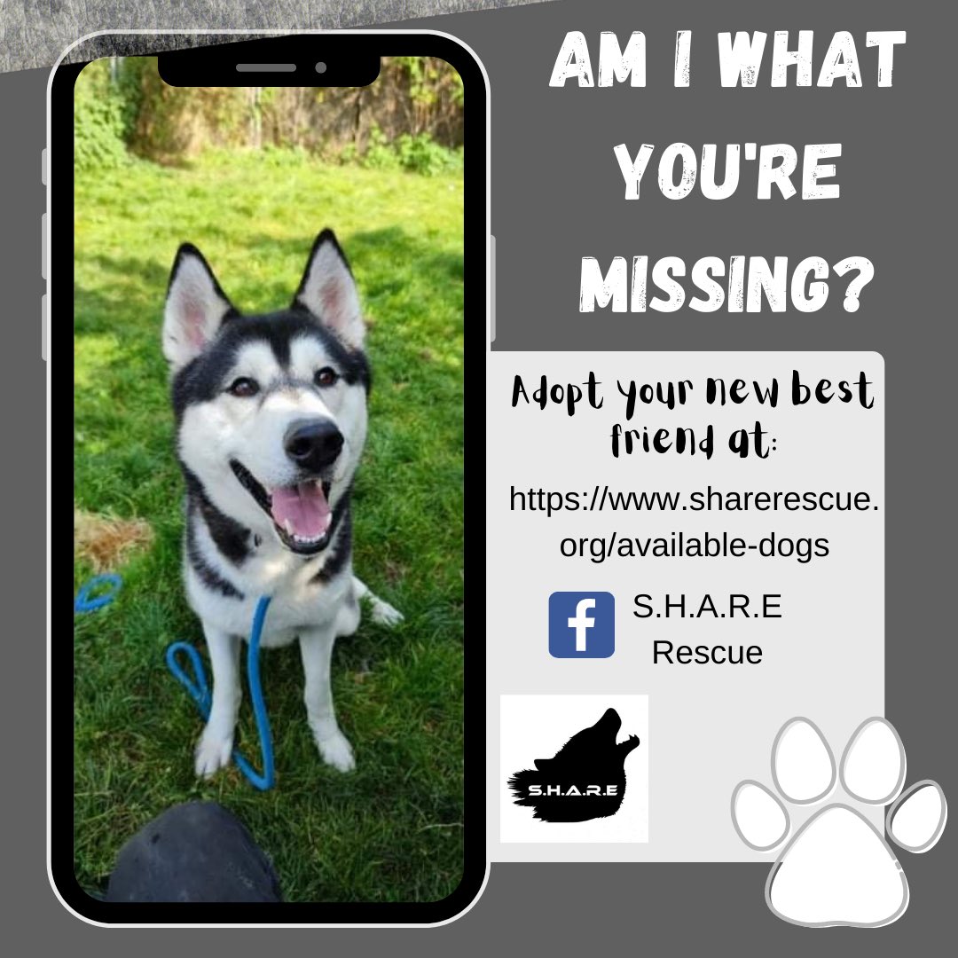 SHARErescue's tweet photo. https://t.co/3lx8hE3yLB