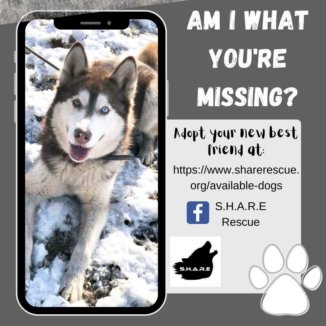 SHARErescue's tweet photo. https://t.co/NQnPsPHmz5