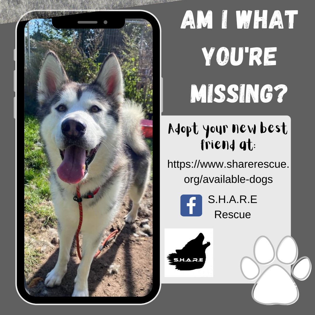 SHARErescue's tweet photo. https://t.co/hOLvKBpScU