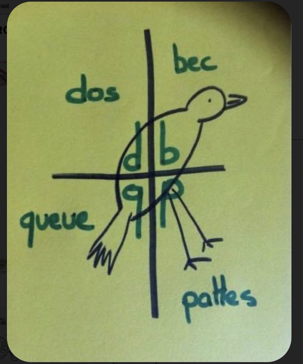 GuideEnfntDiff's tweet photo. Confusion b /p q/b https://t.co/UOf6O5kvfI