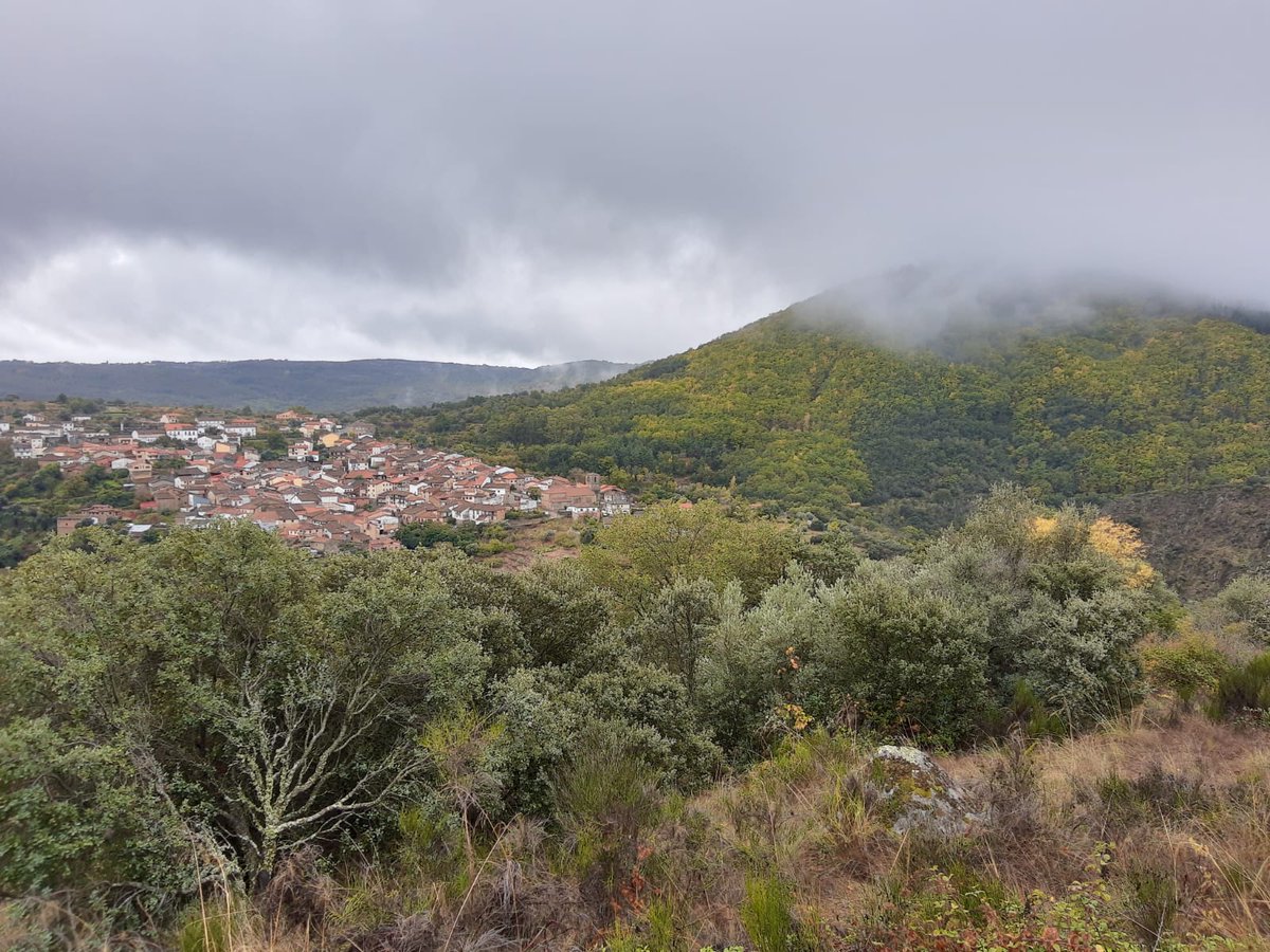 Día otoñal en la #SierraDeSalamanca.

#lluvia #EsVida #Naturaleza #Otoño