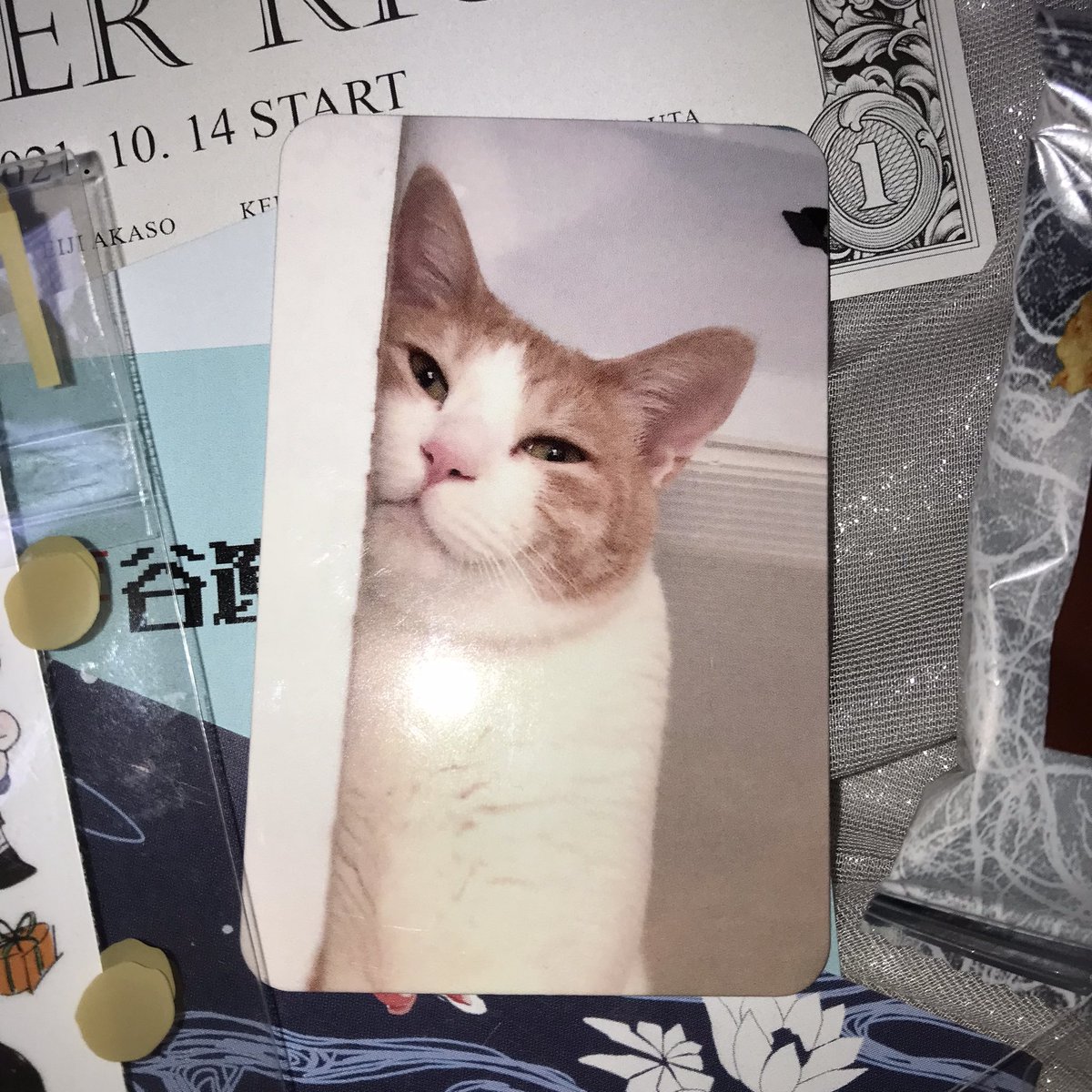 아니ㅠㅠㅠㅠㅠ 로그인 안 할 수가 없었던 ㅜㅜㅜㅜ 다들 에인젤이신가효 (줍줍ㅠ 오늘이라고 하려했는데 벌써 어제가 되어버렸..,,,, 어제 뵈었던 분들 넘 ㅠㅠㅠ 재밌었구ㅠㅠ 주신 것들 감사히 받겠습니다 ㅠㅠㅠㅠ 언제나 체리한 하루 되세요!!! 💋