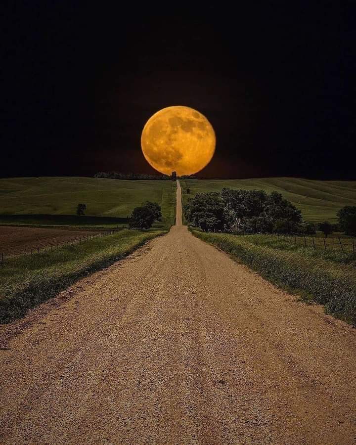 خوبصورتي روح جو خالص احساس آھي ،
خوبصورتي روح جي مطمئن ٿيڻ بعد ئي پيدا ٿيندي آھي۔