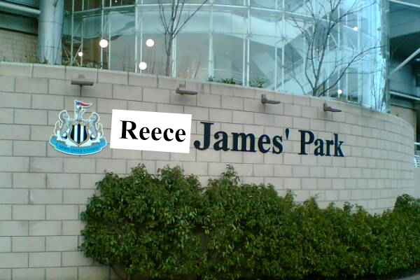 chelseayouth's tweet image. 