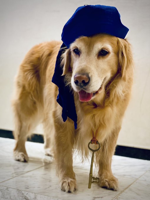 浅倉大介さん がハッシュタグ ベルカ をつけたツイート一覧 1 Whotwi グラフィカルtwitter分析