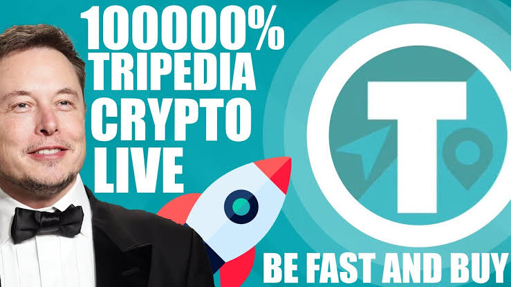 enrikoae's tweet photo. in my opinion for Tripedia cryptocoin will be able to reach $ 0.0001. trending hold π₯π₯π₯ $Trip #Tripedia #Tripediacoin #TRIPEDIA @Tripediacoin #cryptocurrency https://t.co/Gb1Te9Mp0h