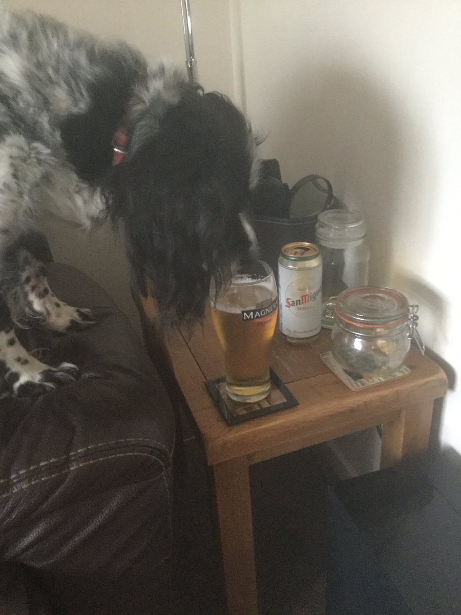 Only turned my back for a few spit second