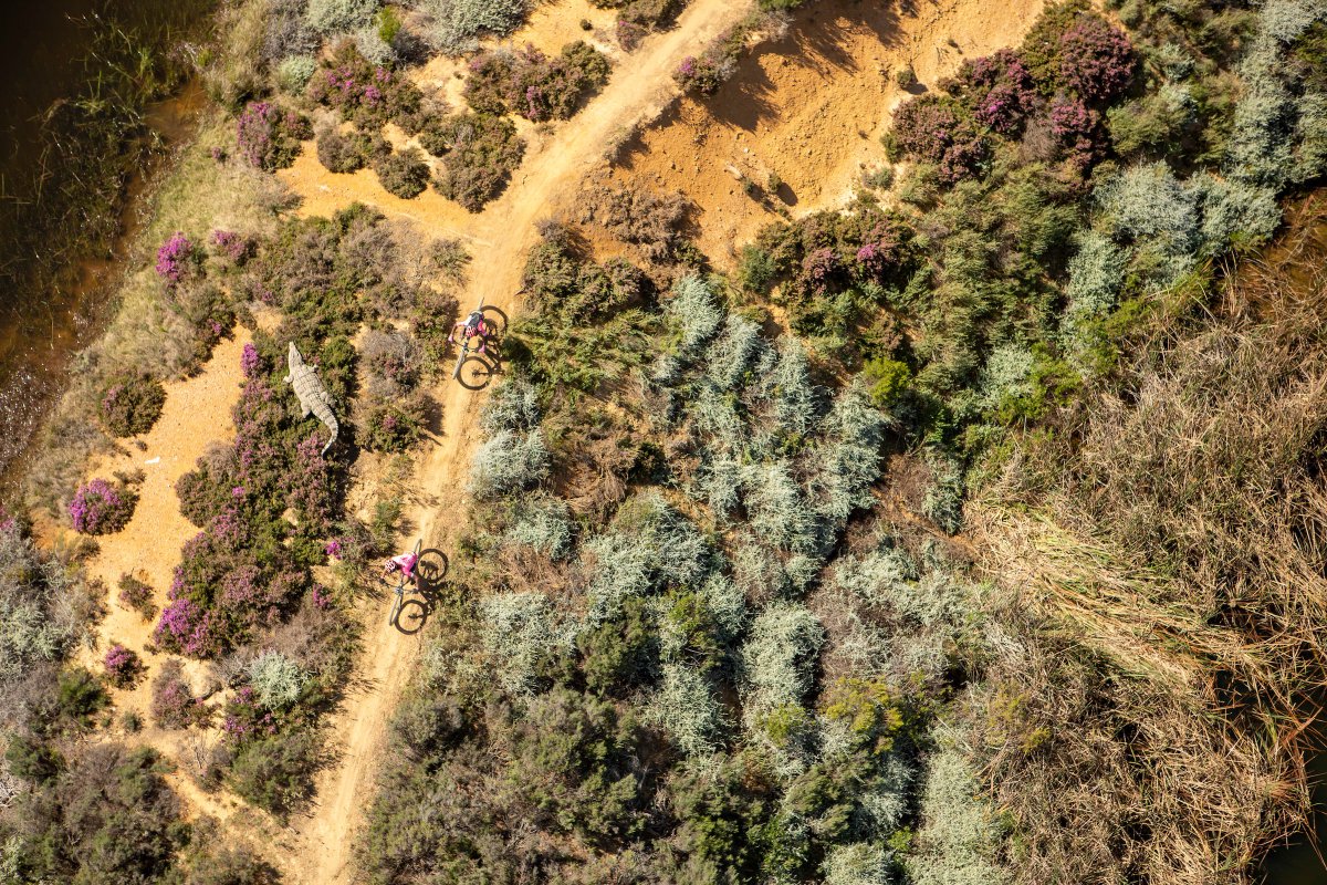 EFprocycling's tweet photo. Let us know when you spot it 🐊 https://t.co/VQQqOkCLEO