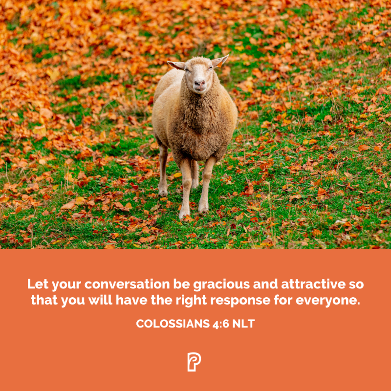 ShepherdLeaders's tweet photo. We give THANKS that God continues to move in miraculous ways with the shepherding message!
#PresencePoint #ShepherdLeaders #GiveThanks https://t.co/sP5ub3sWAk