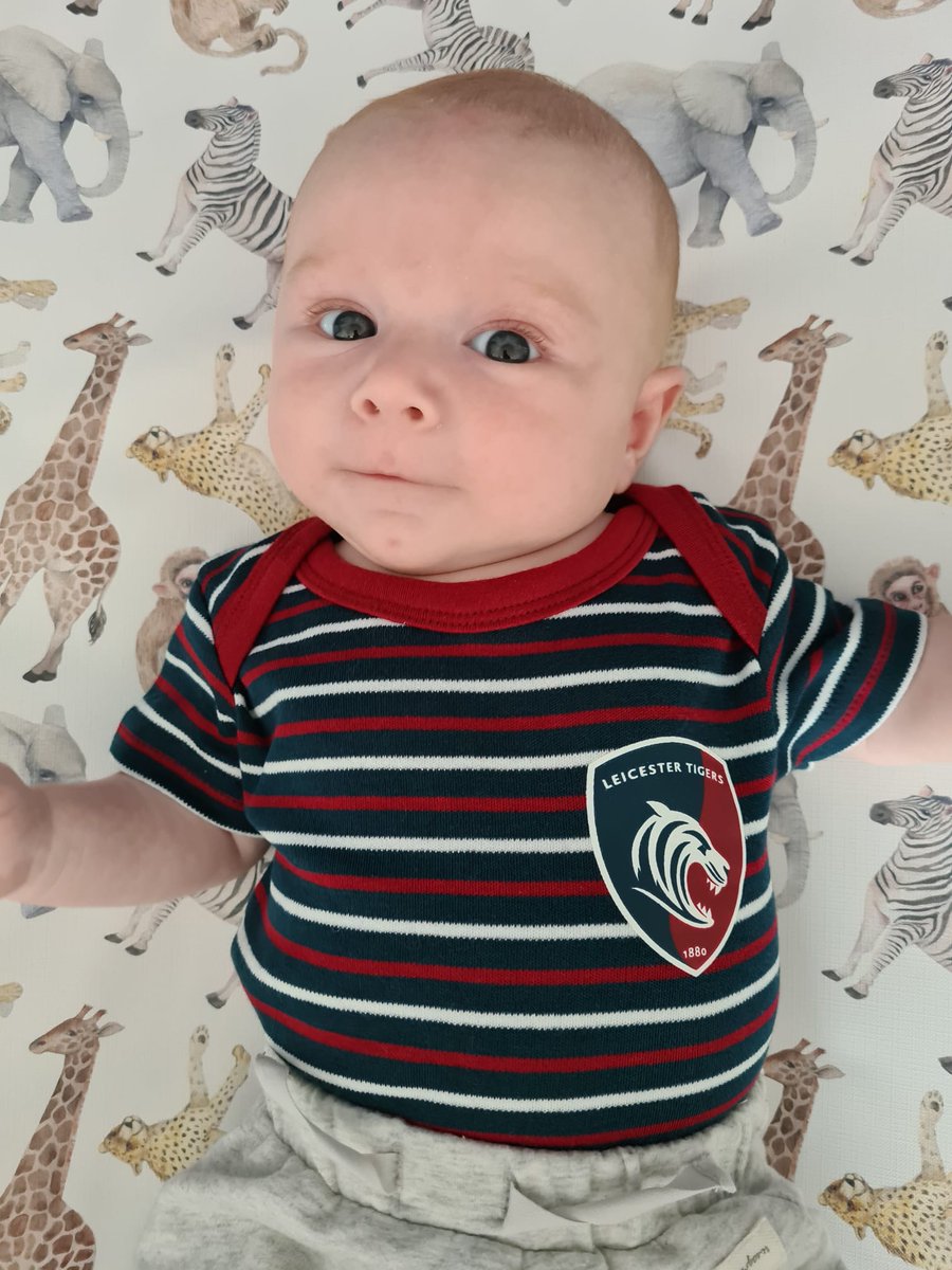 tobyking872's tweet photo. Trying to explain to this one that not all @LeicesterTigers derby days are like this! https://t.co/3EYRXDCqZI