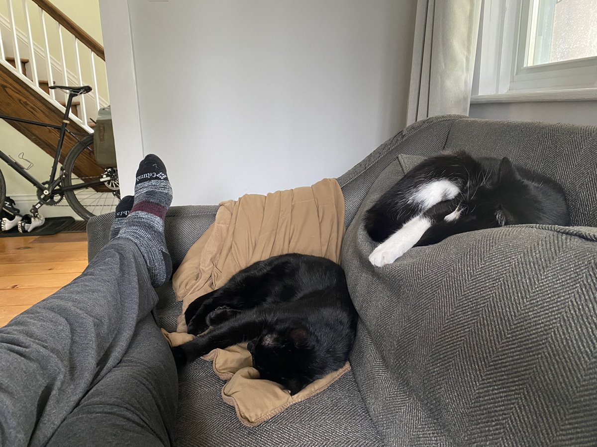 bdsix's tweet photo. #NationalCatDay https://t.co/5kyEW5n21Q