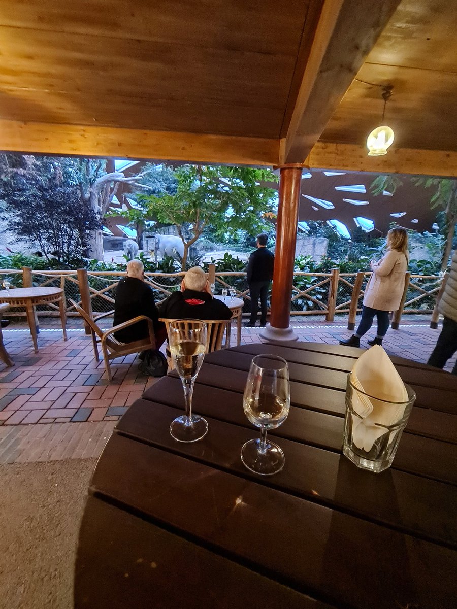 Andrea Rutschmann tweet media