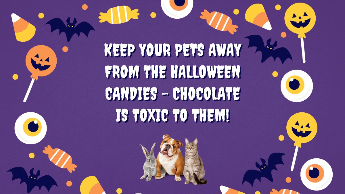 Please, keep your pets away from the Halloween candies and other common products that can be harmful to them, such as Alcohol, Caffeine, Grapes and Raisins, Tobacco and Marijuana, Macadamia Nuts, Garlic and Onion, Sweetener Xylitol, Yeast Products, too much Salt.