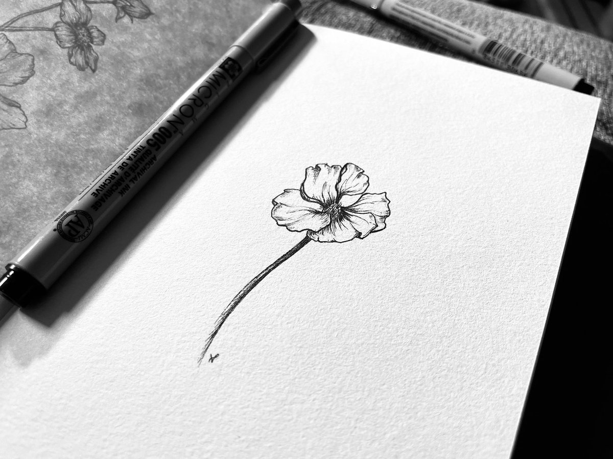 Rory_Clancy's tweet photo. Inktober 2021
Flower Prompt: Nasturtium
•
I’m not sure how to feel about this one because, once again, it’s a simple flower. https://t.co/UcK5w0xEGC