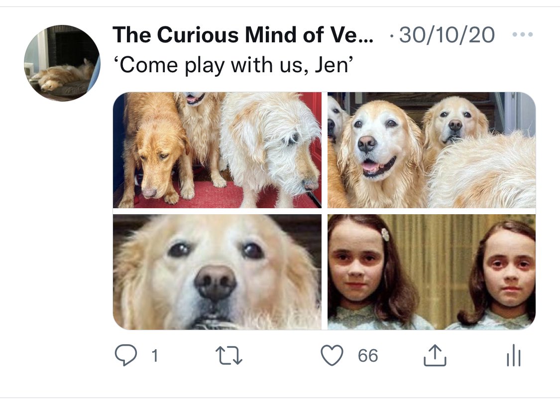 The Curious Mind of Venkman tweet media
