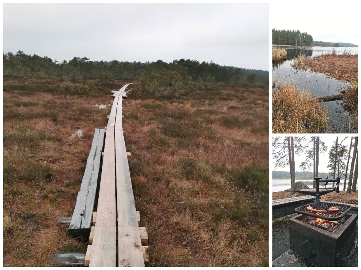 nieminenirma's tweet photo. Tänään luontoretkellä kotikonnuilla Salossa. #welovesalo #vaellus https://t.co/4gqZ0GgjnH