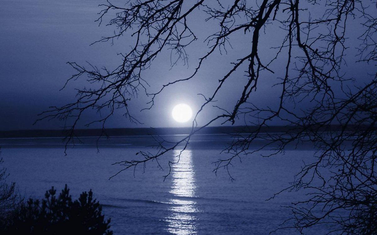 ночные фотопейзажи. стих на тему вечер. еще майская ночь фет иллюстрация. ночной пейзаж. цитаты про ночь.