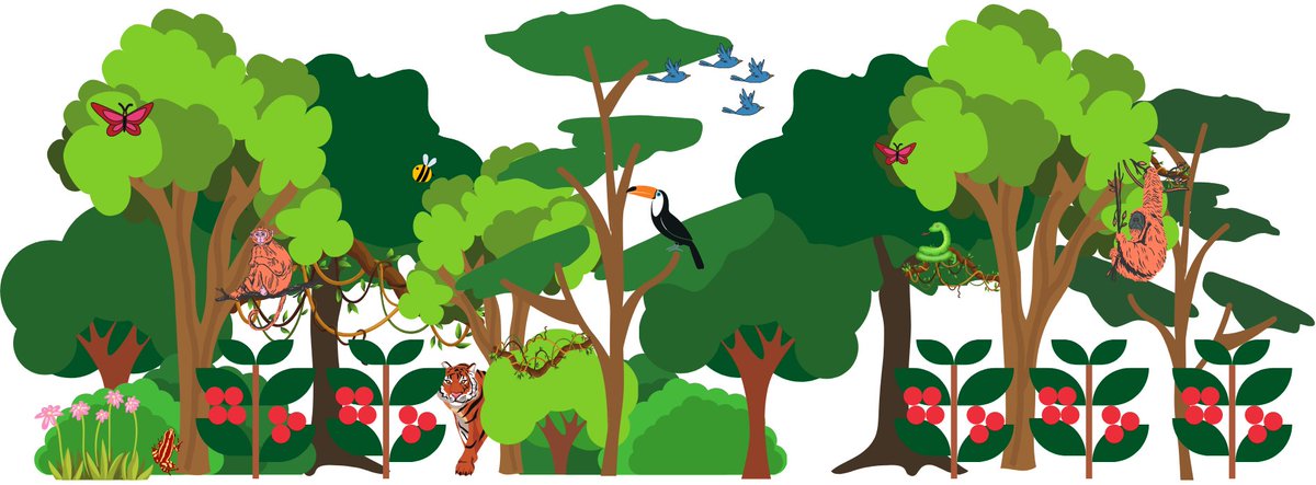 bowscovery's tweet photo. #ConsMark2021 The public IS ready for biodiversity-friendly #coffee (grown in a way that supports biodiversity and profitable livelihoods)!...but how and where to find such coffee isn't well known, if it's even available
stay tuned for our campaign launch & more results in 2022! https://t.co/VOnuTTm3yK