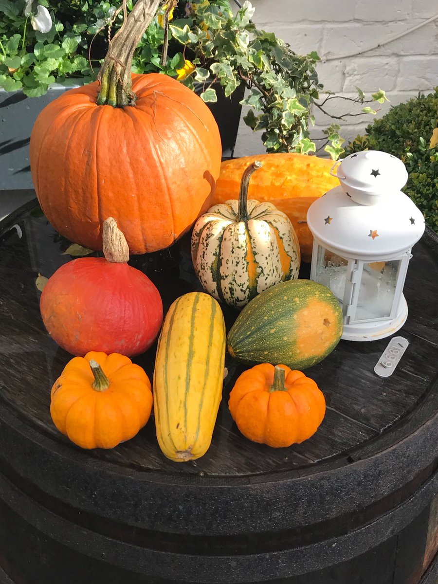 QuinlanQuinlan's tweet photo. Beautiful #Halloween display from the fantastic @alfordarmsHP1
#Hemel #Berko #StAlbans #Ashridge #PottenEnd https://t.co/i0SXSwIvlt