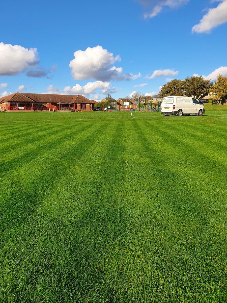 A sunny Saturday helping my local cricket club ( Buckden, Cambs ) with a light mow, 5 weeks after seeding with DLF Pro36 and applying a tonne of Ongar loam. Superb establishment and colour. #professionallawncare#buckdencricketclub#buckden#buckdenjuniorfootballclub#autumnlawncare
