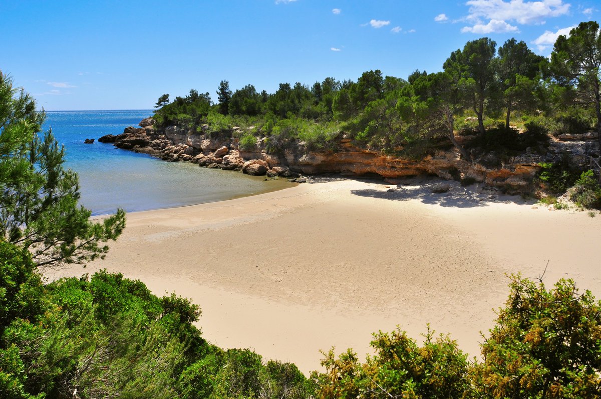 rac1manat's tweet photo. 🔴 SORTEGEM, gentilesa de @CampingsTgna, una ESTADA de cap de setmana per a quatre persones al Càmping Trillas Platja #Tamarit ⛺ Per participar imprescindible 👇
➡️ Seguir @viatjab, fer RT i dir-nos:
➡️ ON HEU PASSAT aquest cap de setmana llarg de TOTS SANTS🎃❓QUÈ HEU FET❓ https://t.co/Bg4dlYwv7s