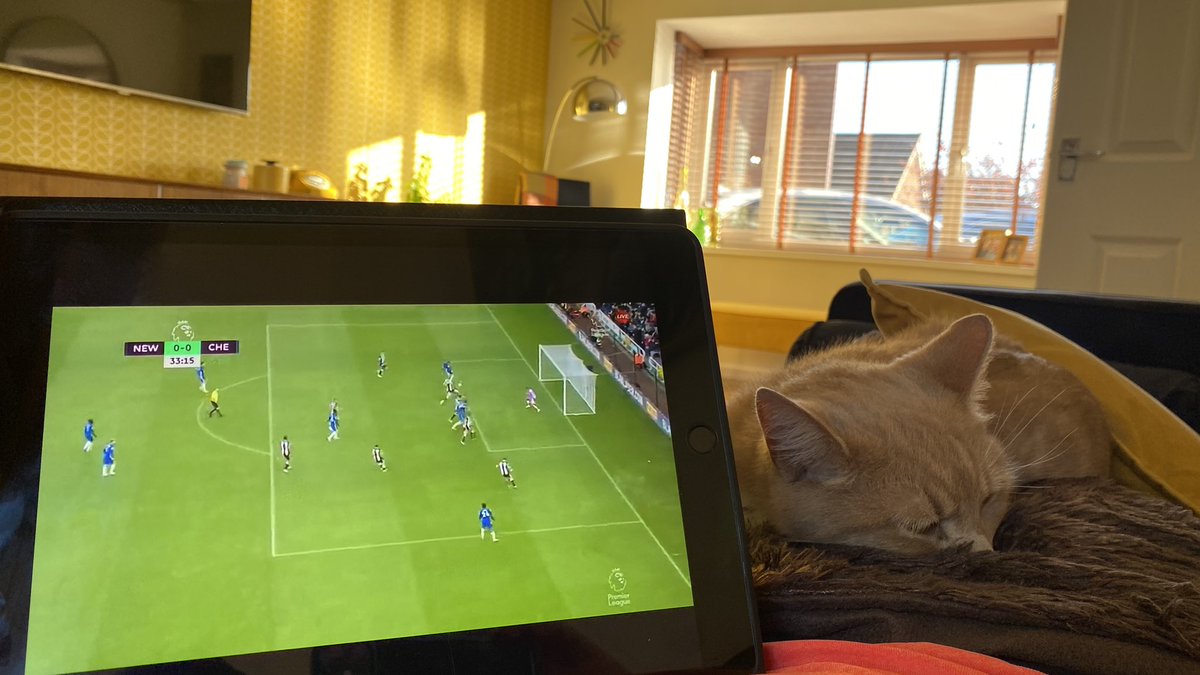 Saturday afternoon snuggles with Daddy, not interested in going outside or watching football , just want to nap #catsoftwitter #catsontwitter #cats #adoptdontshop #caturday #PremierLeague #NewcastleChelsea