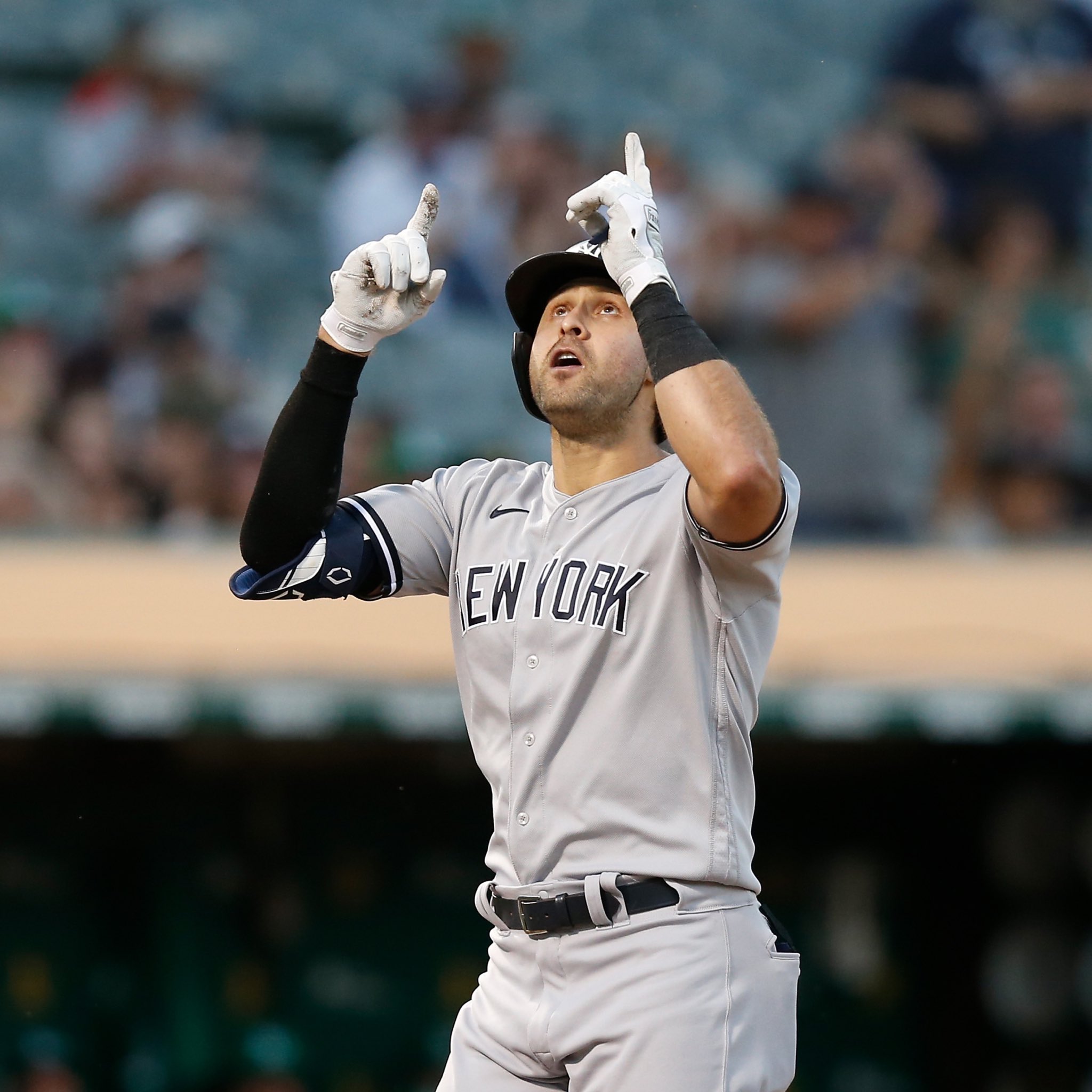 New York Porch Sports on X: Call him Dr. Joey Gallo! The Yankees slugger  just received a doctorate in Veterinary Medicine and will split his time  mashing baseballs with treating rare New