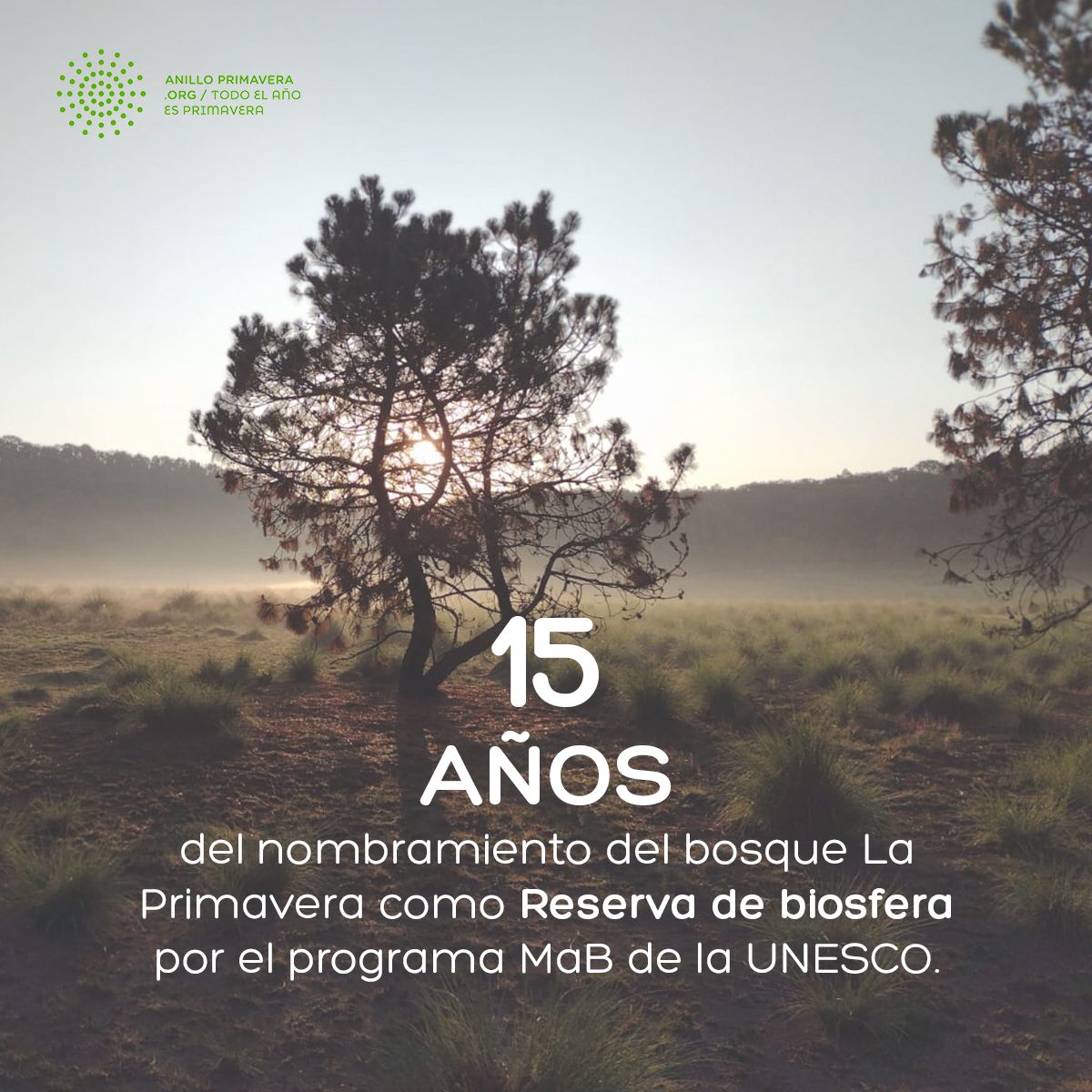 Desde el 2006 el bosque de La Primavera forma parte del programa MAB de la UNESCO, participando en esta estrategia que tiene como objetivo preservar la biodiversidad única, el uso sostenible de sus elementos, así como una distribución justa de los beneficios de sus recurso