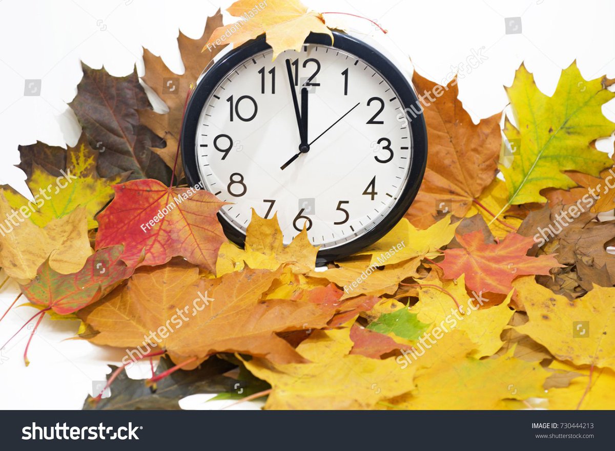 Sedgebrook Hall tweet media