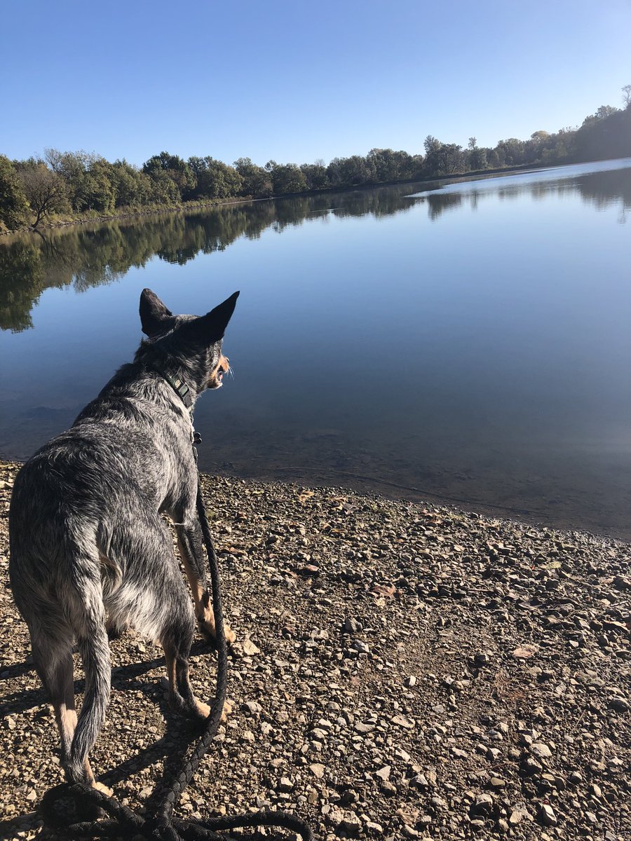 OkEricFox's tweet image. On the trail again with Duke. He likes the nap on the way home too. #outdoortherapy #FindYourFrontier