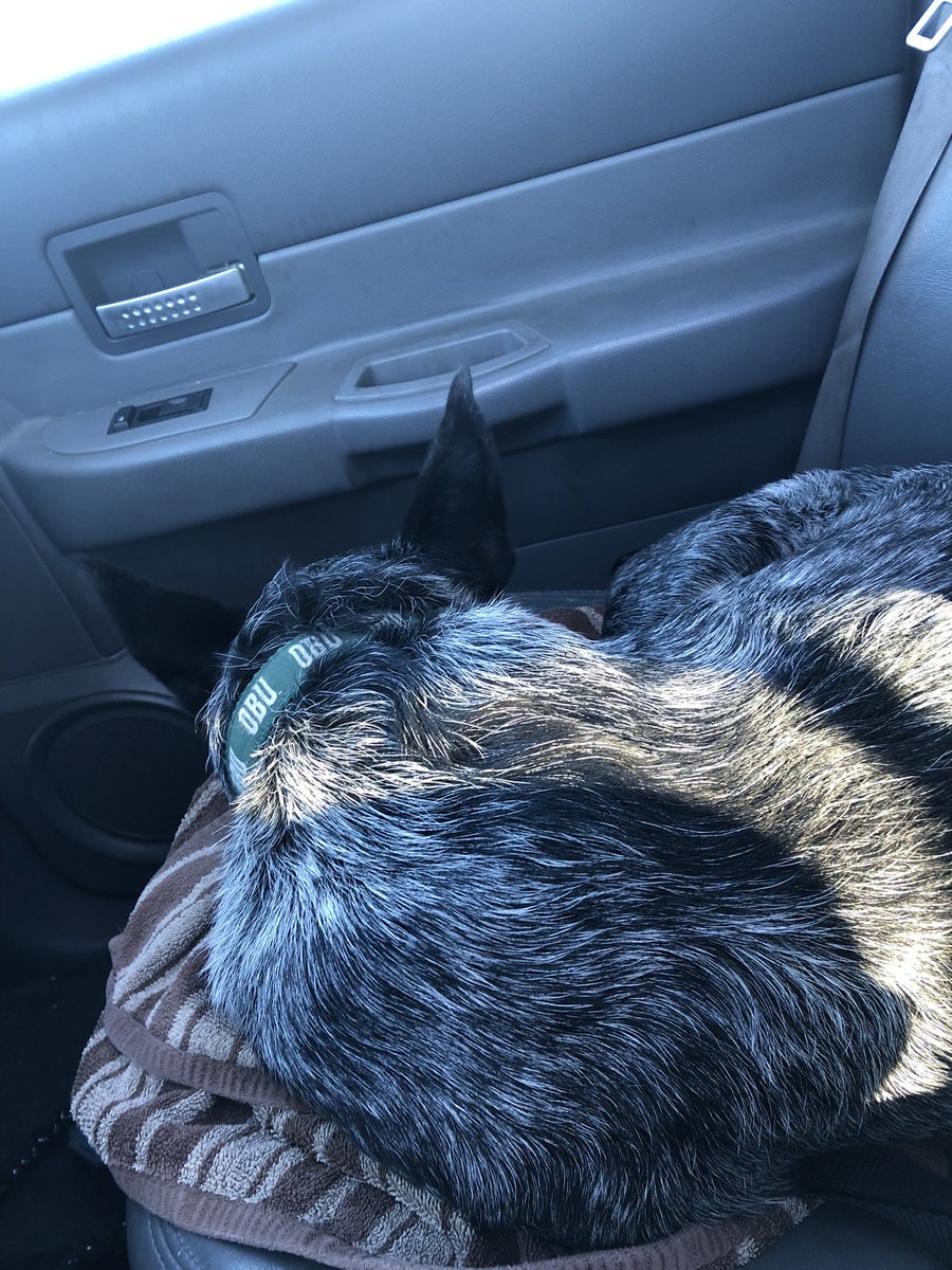 OkEricFox's tweet image. On the trail again with Duke. He likes the nap on the way home too. #outdoortherapy #FindYourFrontier