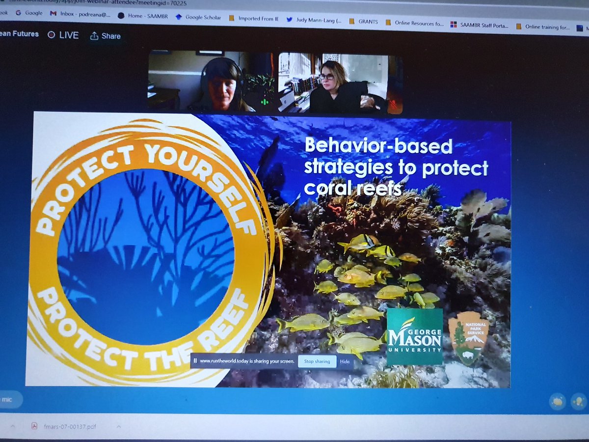 eduoceans's tweet photo. So enjoying the Ocean Futures session at #ConsMark2021. Great way to spend a Saturday evening. @EmmaJMcKinley @SCBConsMark @DivingWSharks @Human_NatureUK https://t.co/YCVYQASIm9