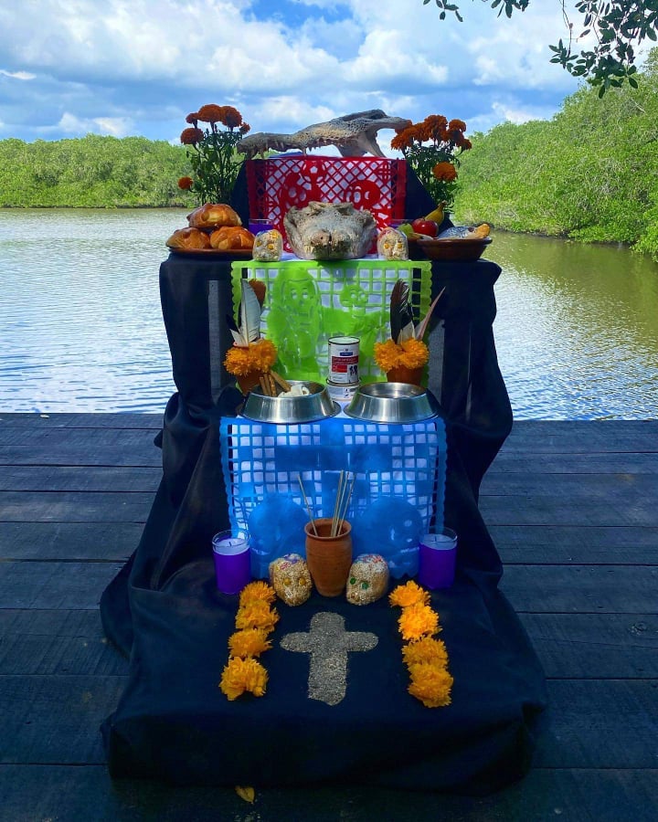 Confuror's tweet photo. Desde El Cora nos mandan fotos de su ofrenda. ¿Ustedes ya pusieron la suya?

Recuerden que podemos apoyar la labor de esta UMA donando durante Confuror mediante https://t.co/5s8Bw9fZGP o https://t.co/mGjAclNUVY ¿#TeamMaws o #TeamPaws? https://t.co/D0s8tD2hps