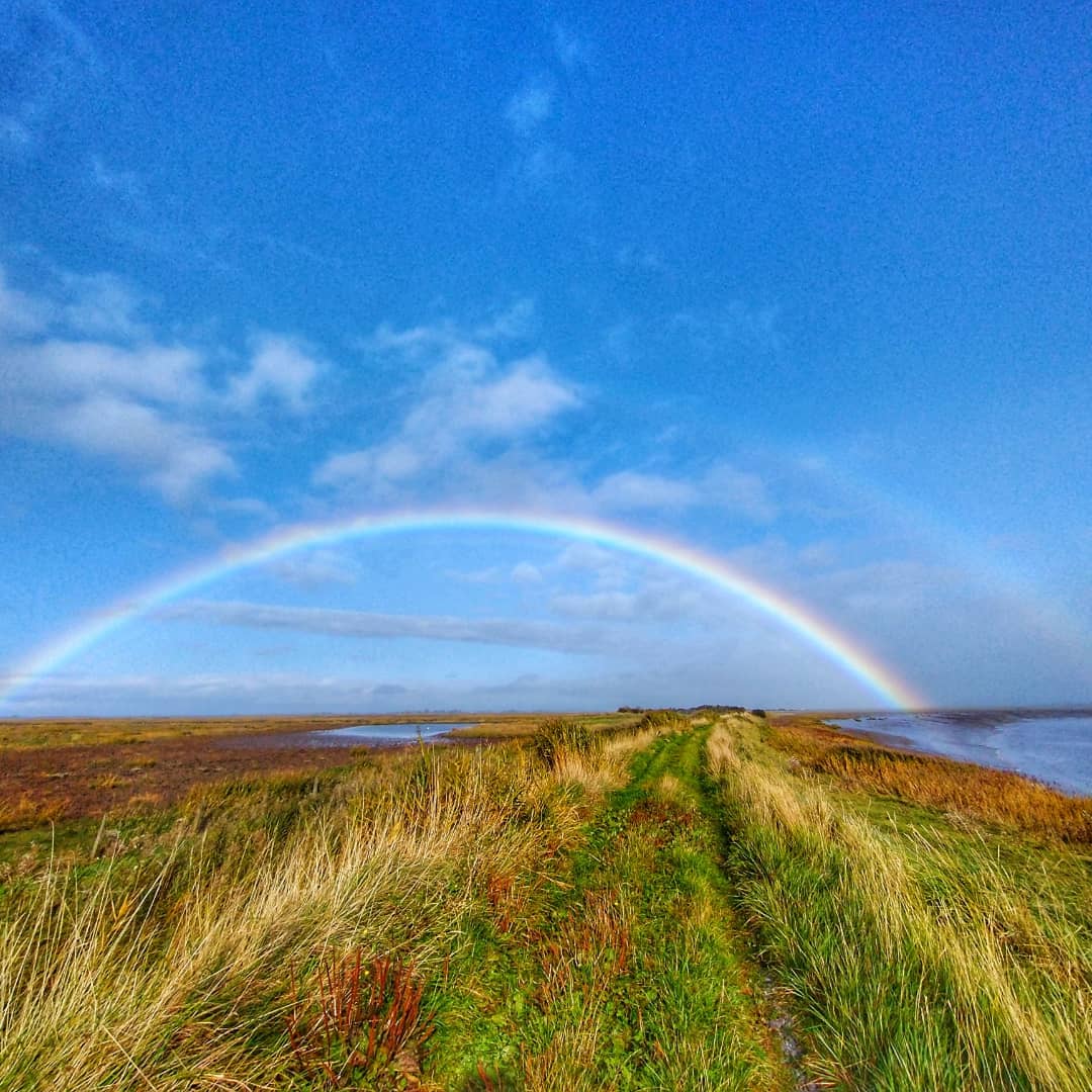 Sharn Hooper tweet media