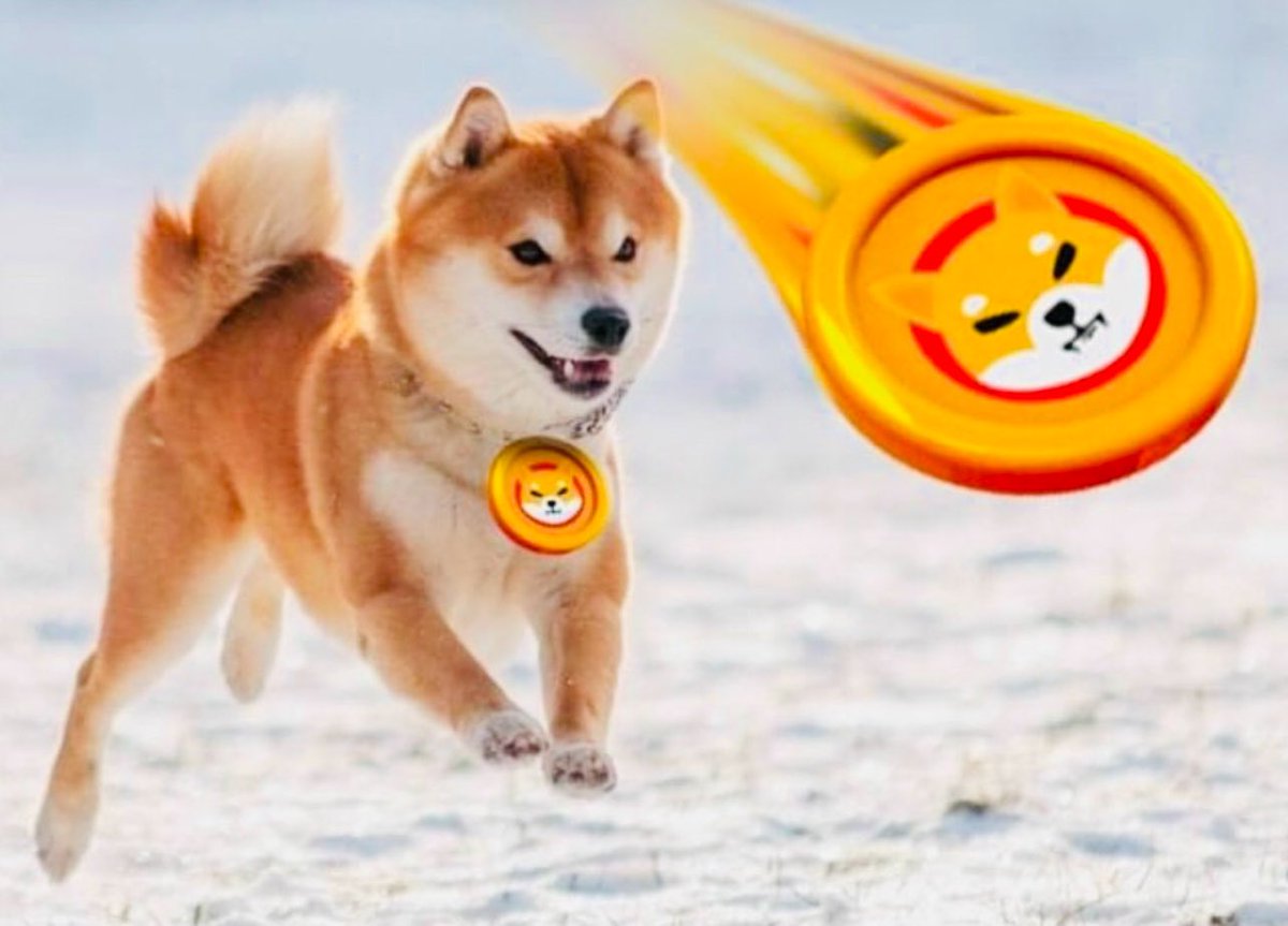 BitcoinDefi8's tweet photo. Technologies are man-made. The place that receives the love of many people, that place will grow and reach the top. Shiba Inu is doing just that.  Bitcoin Defi Will Do The Next. #Shibtoken #ShitoshiKusama #NayibBukele #Jack #Coinbase #CoinMarketCap #Binance #GameNFT #BTCDF #BTC https://t.co/b6CGwi3Xrz