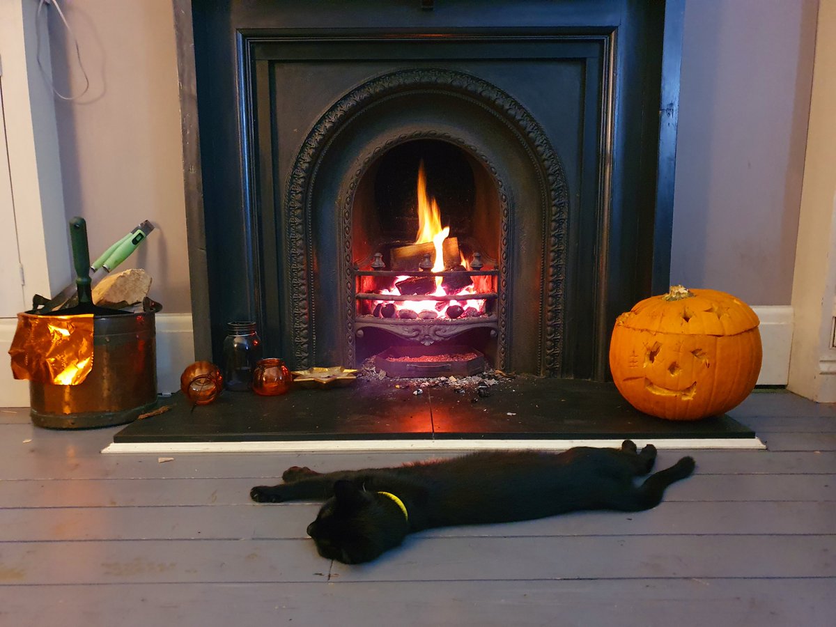 His first autumn, Marley's new favourite thing is basking by the fire. #kittens #CatsOfTwitter #cats