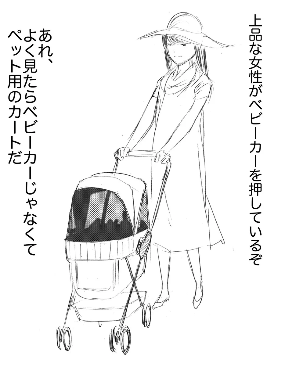 上品な女性がベビーカーを押していると思ったら？ペット用カートだった！