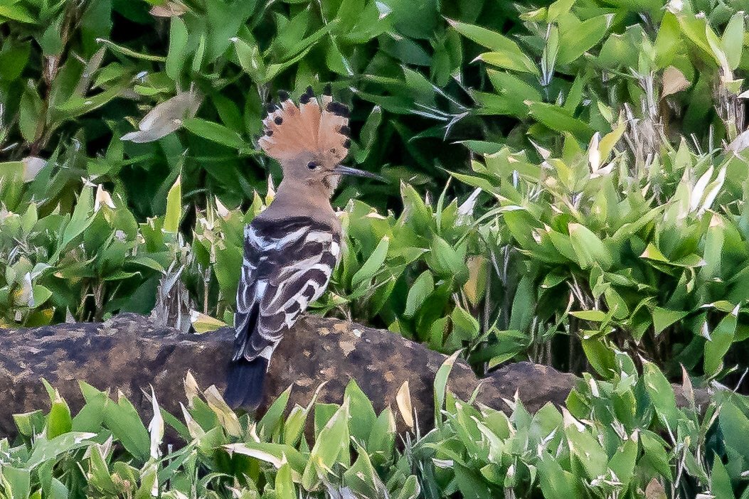 Greg Charman tweet media